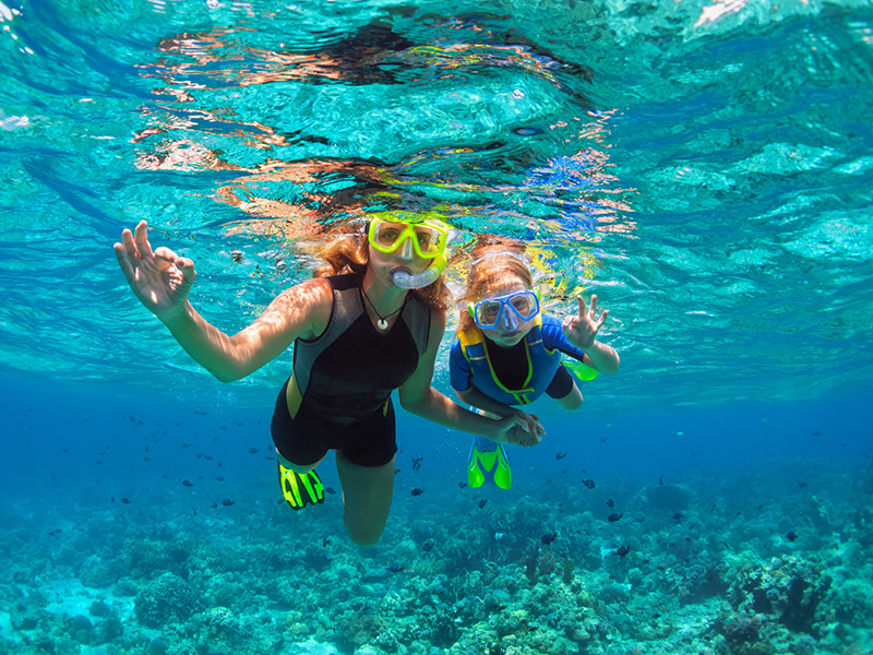 Best Snorkeling in Stuart FL