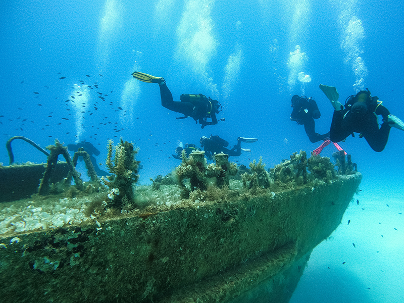 A guide to the best snorkeling and dive spots in Stuart, FL