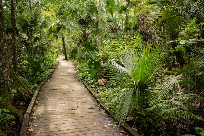Hammock and Shaded Trails